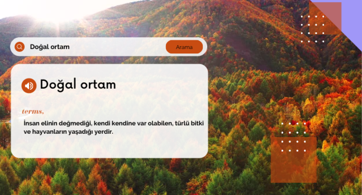 Sizce Bir Çocuğun Doğal Ortamı Nedir?